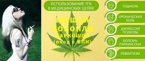 мдпв Новозыбков