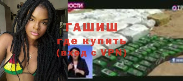 мдпв Новозыбков