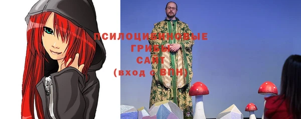 мдпв Новозыбков