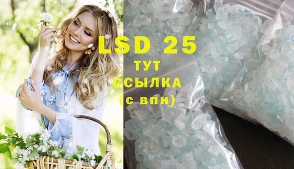 мдпв Новозыбков