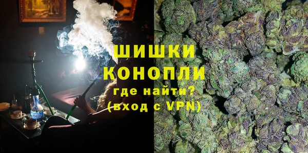 мдпв Новозыбков